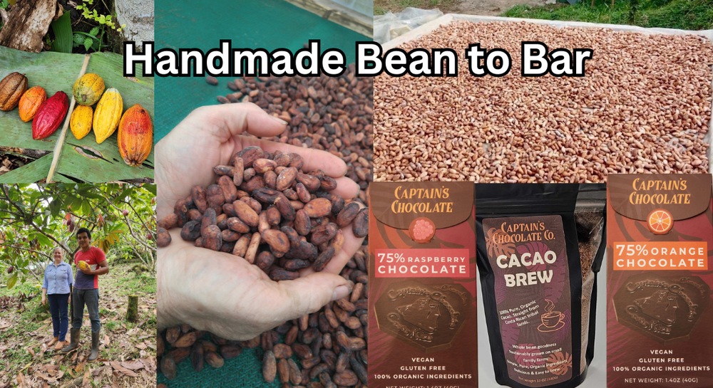 How Chocolate is Made from Bean-to-Bar