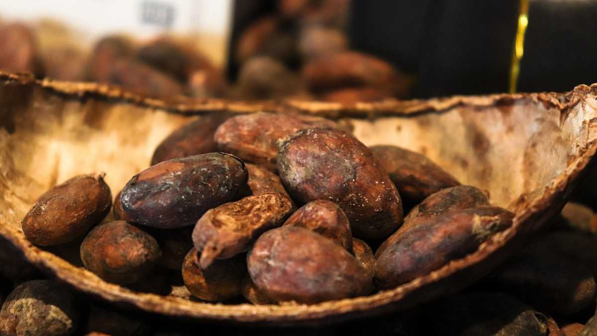 Organic vs Non-Organic Cacao: Does it matter?