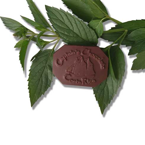 
                  
                    Organic Mint Dark Chocolate Box Set (12pc)
                  
                